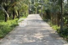 Đất kp1 phường 10 cách đường đê hùng vương 100m