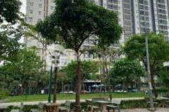 Bán 3 lô đất f0 đường ht 42 phường hiệp thành q12