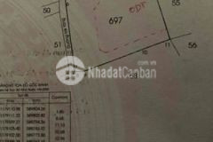 Bán đất gia rẻ thổ cư cách chợ 250m bình chánh