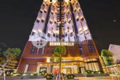 Cần bán căn góc hộ chung cư asiana capella quận 6