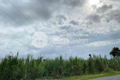 Bán miếng đất thuộc quốc lộ 60, thị trấn đại ngãi, huyện long phú, sóc trăng. gần tôn đức thắng.