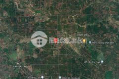 D772 bán lô đất nông trường mía xã hòa xuân, tp buôn ma thuột