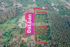 Chỉ 165 tr sở hữu đất cưmgard đăk lăk 559 m2, trong khu dân cư, cách tt 2km