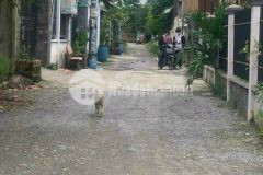 Cần bán gấp căn nhà 60m2 ở hóc môn giá 1 tỷ 050.