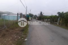 2,9công đất huyện lộ 39,tam hiệp,châu thành,tiền giang