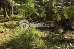 Bán nền và nhà thuộc ấp cái chanh, xã tân thạnh, huyện long phú, sóc trăng.