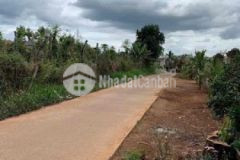 Đất thổ cư gần uỷ ban bình thuận