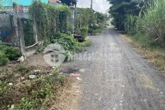 Bán gấp đất ngay trườn học d tích 532mét h gò dầu