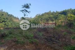 1 6ha đât rsx bám suối lớn tt lương sơn hoà bình