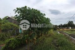 Đất thổ cư kcn cầu tràm 660m 3 tỷ 900