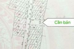 Đất duyên thái đường ô tô 7 chỗ nhỉnh 1 3 tỷ