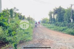 1044m2 đất đỏ bazan full hồng sẵn cây ăn trái