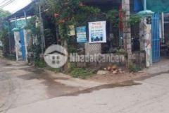 Cần tiền bán gấp trong tháng