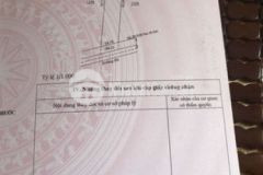 Cần bán nhanh vài lô đất sào mặt tiền 15m