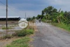 1000m2 đất có 200m thổ mặt tiền nhựa gcđ tg