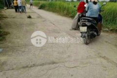 Bán đất bình mỹ 5 x 24 118m xd tự do