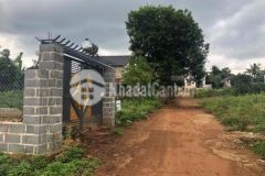 Bán đất cư suê cách tỉnh lộ 8 80mét