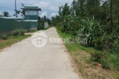 Đất xã tường đa châu thành bến tre 266m2