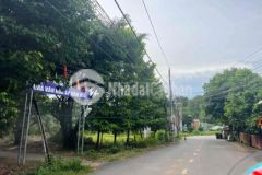 Chỉ có 1 lô mặt tiền đường cao sơn tự