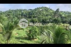 Siêu phẩm 5s vườn hàng gòn cải tạo siêu đẹp