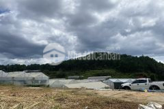 Ban đât van thanh đương ô tô 5m gia chi 1 ty 8