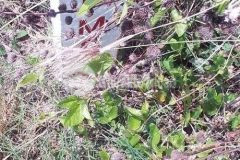 Bán nền trung tâm huyện mới hoà tú 1, đường lộ ô tô tới nơi, cách trung tâm hành chính huyện 500m,