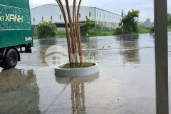 Bán miếng đất mặt tiền ql61c, đoạn tt một ngàn, châu thành a, hậu giang.