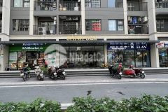 Chính chủ em cần sang nhượng căn chung cư vin ocean park 1 gia lâm