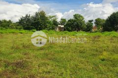 Bán đất chính chủ chỉ 40 triệum2 tại ea bông krông ana đắc lắc