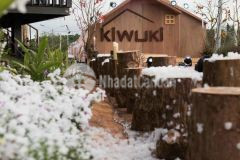 Bán lô đất trong làng kiwuki villa tp bảo lộc dt 825m2 giá 9.5tr