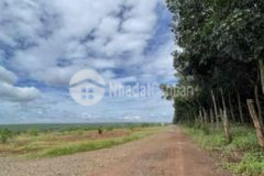 Đất sào phủ hồng sổ riêng từng nền