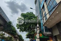 Bán nhà mặt phố nguyển trãi thanh xuân dt 118m