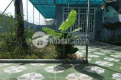 Cần bán căn nhà vườn dt 185m² xã bình mỹ củ chi