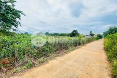 Đất bàn cờ bình giã thích hợp phân lô nhỏ gần tt