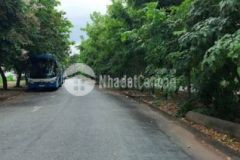 Bán đất mặt đường trương văn bang thạnh mỹ lợi