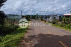 Đất thổ cư mặt tiền ql 28 tân thương di linh