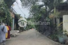 Bán đất chính chủ tại phường tân định dt 100m2 shr