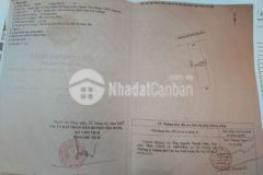 Hàng ngộp nhất khu vực