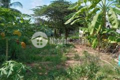 Nền xây trọ 6x23 hẻm 3m hưng lợi nk giá 1 55 tỷ