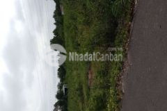 Đất trung tâm xã phú an 5x40