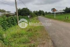 Đất thổ cư 12x42 an bình châu thành tây ninh