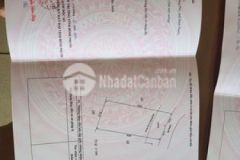 Đất chính chủ bán giá 490tr 1000m giá ngộp