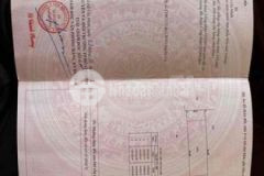 Thái mỹ cuchi 455mv 300tc 3ty150