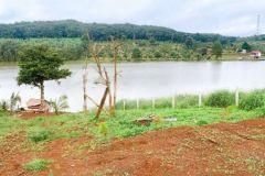 Đất đắk nông có thổ cư