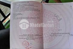 Bán 2lô liền kề ngay kcn nam tân uyên như tin đăng