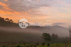 Đất nghỉ dưỡng view đồi thông săn mây đăk song