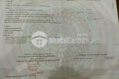 Đường 26m nhựa hiện hữu dân đông tiện ích đầy đủ