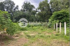 730 m2 đất vườn mặt quốc lộ 39b chỉ 850 triệu