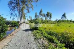 Ngộp 527m2 đất vườn tại bến lức giá rẻ bất ngờ