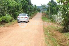 Gấp chính chủ bán lô đất ngay tt xã 327m2 chỉ 5xx